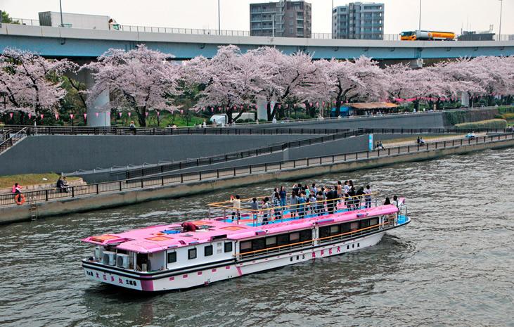 일본전통크루즈★전망데크 야카타부네 티켓