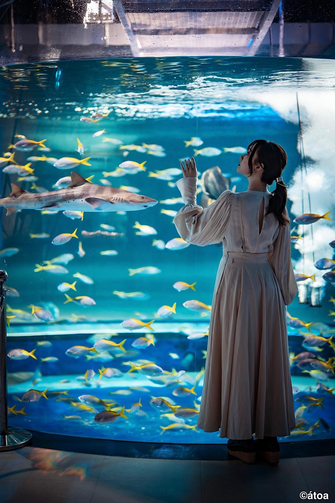 AQUARIUM×ART 아토아 입장권 & 한큐 1day 패스 세트권